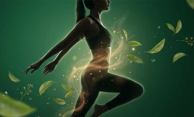 Metabolismo
